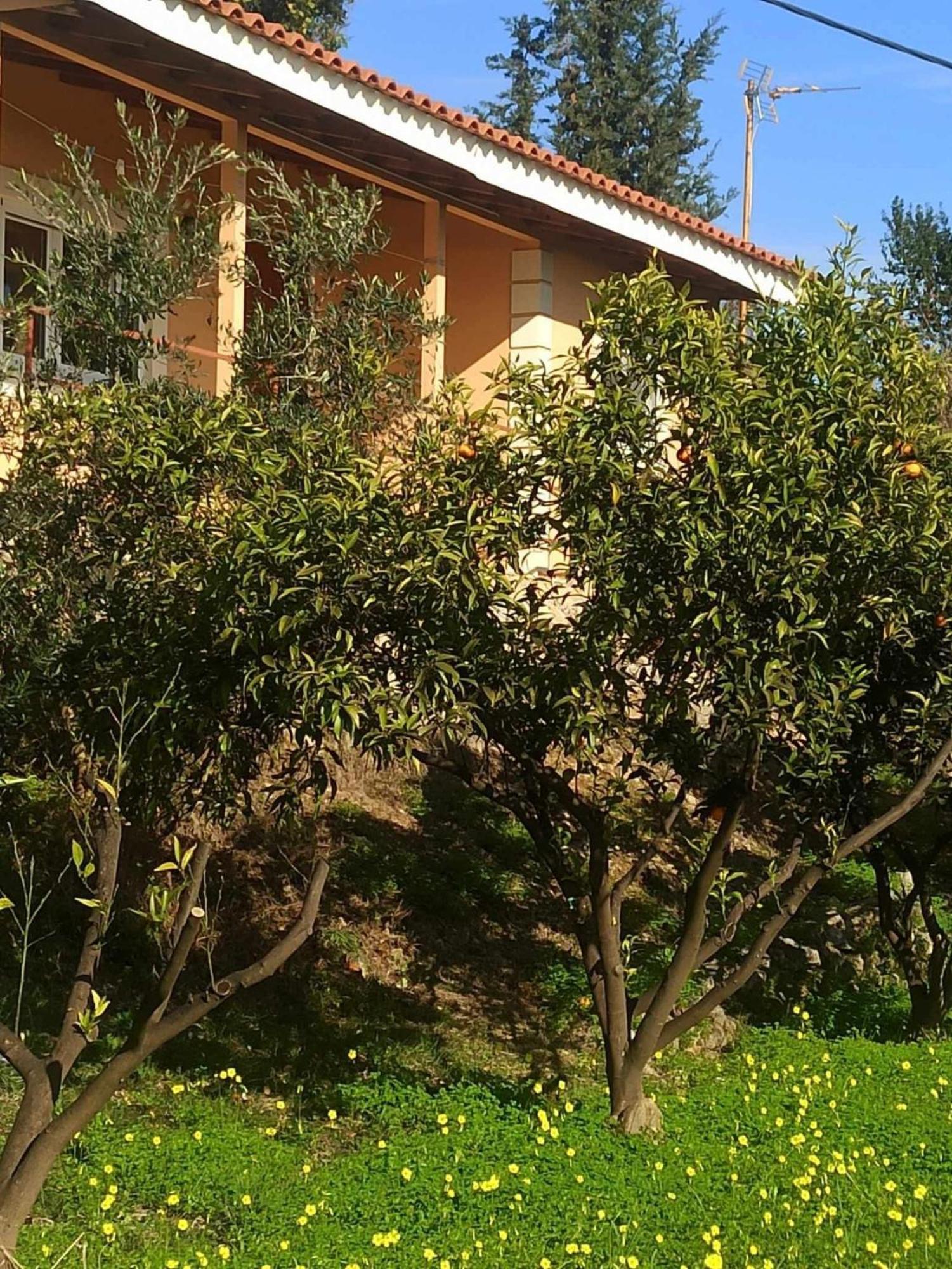 Takis & Eirini Family Apartments Perama  Esterno foto